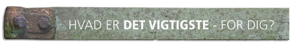Hvad er det vigtigste - for dig?
